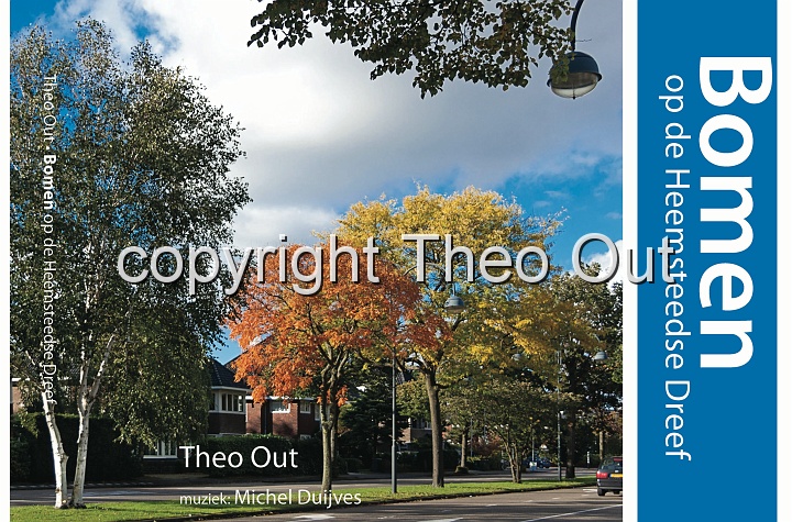 Theo Out-Omslag-vpk.jpg